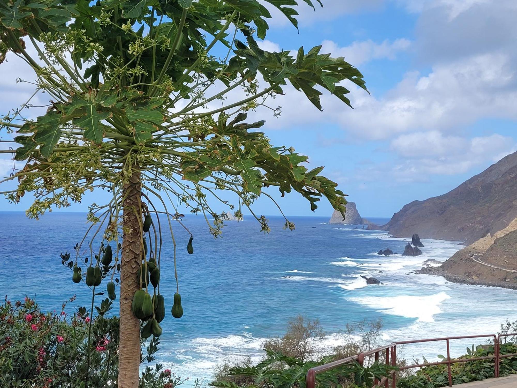 Casa Manolo Paraiso Beach Trail Almaciga 외부 사진